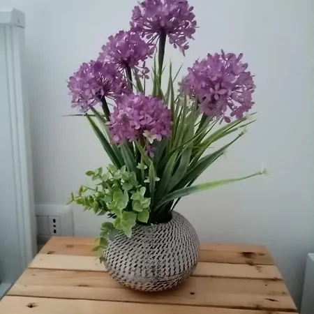 I Nidi Di Colombo Konukevi