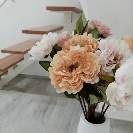 Konukevi I Nidi Di Colombo