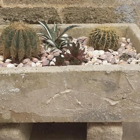 I Nidi Di Colombo Konukevi Castrignano del Capo