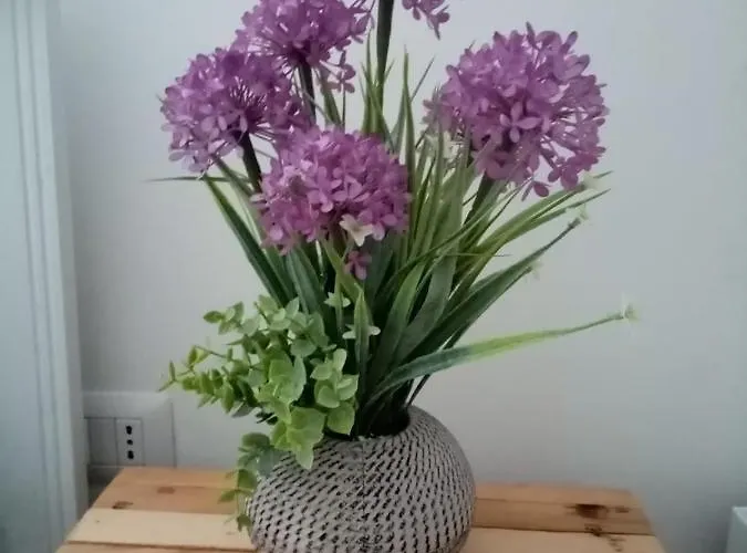 I Nidi Di Colombo بيت ضيافة